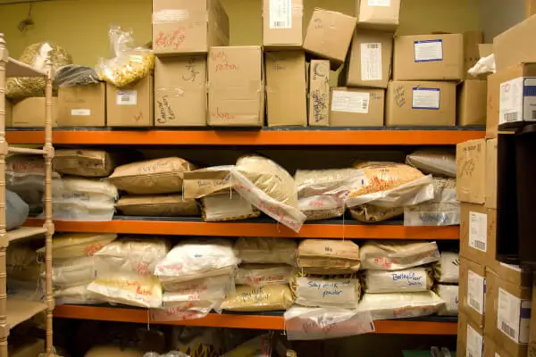 Como montar um armário de sementes resistente à umidade amazônica