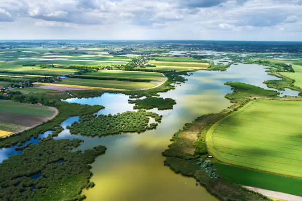 O papel das sementes na adaptação da floresta às mudanças climáticas