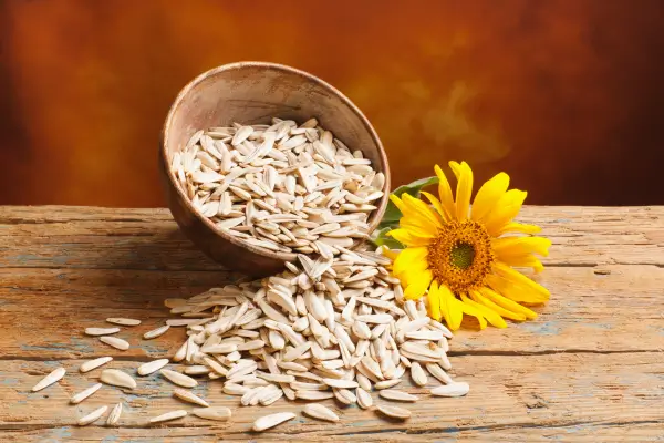 Como iniciar um banco de sementes coletivo na sua comunidade