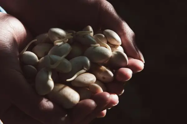 A importância do controle de temperatura para conservação eficaz