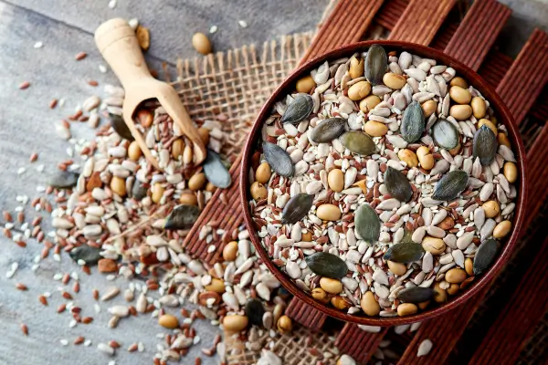 Estratégias sazonais para conservar sementes durante o período das chuvas