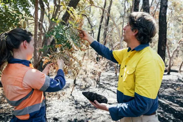 O valor de saber de onde vem e para onde vai cada semente