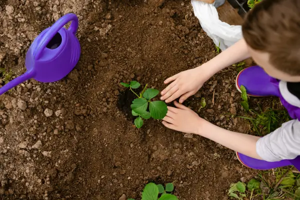 O papel dos bancos comunitários na segurança alimentar da Amazônia